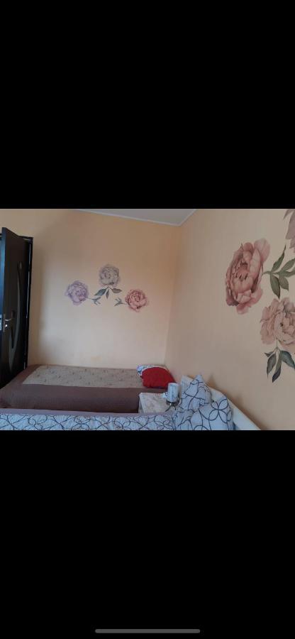 Made In Transilvania Сигишоара Екстериор снимка