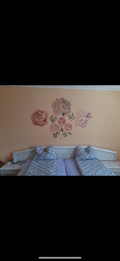 Made In Transilvania Сигишоара Екстериор снимка