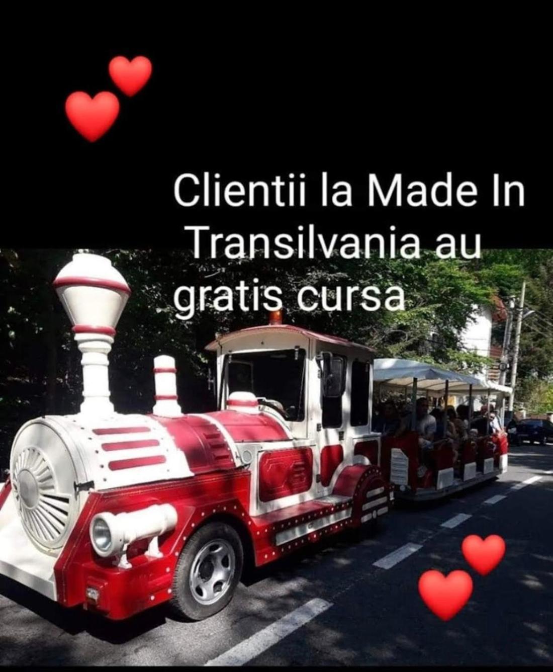 Made In Transilvania Сигишоара Екстериор снимка